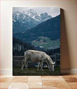 Πίνακας, Donkey Grazing in Mountain Landscape Γάιδαρος που βόσκει σε ορεινό τοπίο