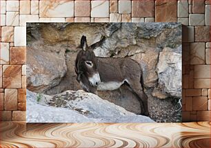 Πίνακας, Donkey in Rocky Terrain Γάιδαρος στο Βραχώδες Έδαφος