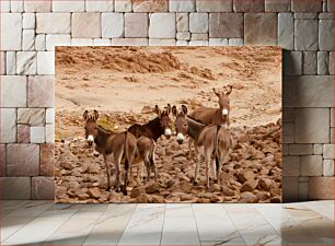Πίνακας, Donkeys in Rocky Terrain Γαϊδούρια στο Βραχώδες Έδαφος