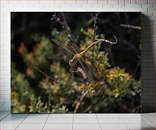 Πίνακας, Dragonfly on a Branch Dragonfly σε ένα κλαδί