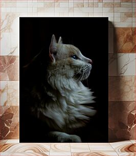 Πίνακας, Dramatic Cat Portrait Δραματικό Πορτρέτο Γάτας