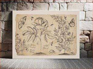 Πίνακας, Drawing with Flowers, Butterflies, and Insects