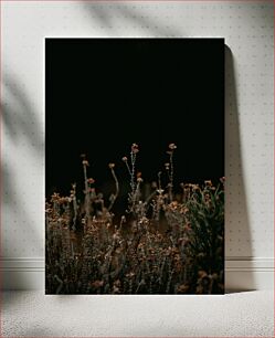 Πίνακας, Dried Flowers in the Dark Αποξηραμένα λουλούδια στο σκοτάδι