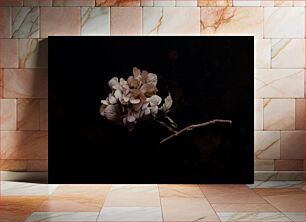 Πίνακας, Dried Hydrangea Blossom Αποξηραμένο άνθος ορτανσίας