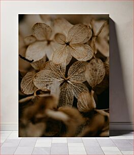 Πίνακας, Dried Hydrangea Blossoms Αποξηραμένα άνθη ορτανσίας
