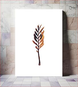 Πίνακας, Dried Leaf on White Background Αποξηραμένο φύλλο σε λευκό φόντο