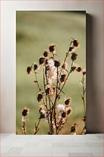 Πίνακας, Dried Wildflowers in Field Αποξηραμένα αγριολούλουδα στο χωράφι