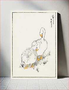 Πίνακας, Duck and Young Grass illustration. Pictorial Monograph of Birds (1885) by Numata Kashu (1838-1901)