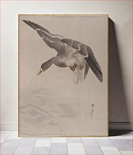 Πίνακας, Duck by Watanabe Seitei