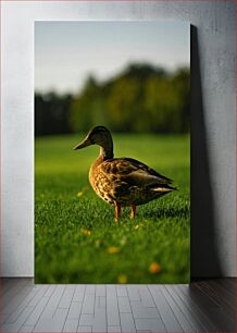 Πίνακας, Duck in Green Pasture Πάπια σε πράσινο λιβάδι