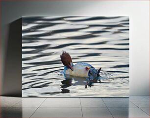 Πίνακας, Duck on Rippling Water Πάπια στο κυματιστό νερό
