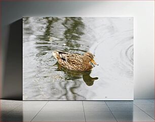 Πίνακας, Duck Swimming in a Pond Πάπια που κολυμπάει σε μια λίμνη
