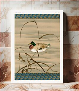 Πίνακας, Duck swimming in the lake, vintage Japanese animal painting by G.A. Audsley-Japanese illustration