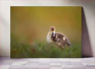 Πίνακας, Duckling in Grass Παπάκι στο γρασίδι