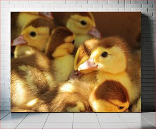 Πίνακας, Ducklings in a Group Παπάκια σε ομάδα