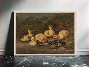Πίνακας, Ducklings