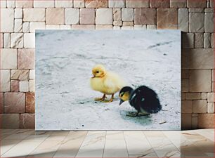 Πίνακας, Ducklings on Sand Παπάκια στην άμμο