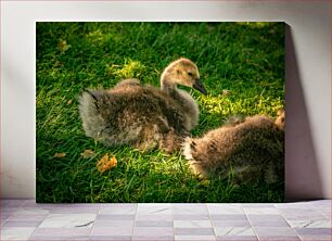 Πίνακας, Ducklings Resting in the Grass Παπάκια που ξεκουράζονται στο γρασίδι