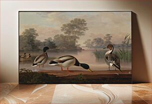 Πίνακας, Ducks, 1853, Magnus Von Wright