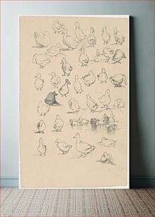 Πίνακας, Ducks (1870s-1880s) by Andrew Fisher Bunner