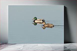 Πίνακας, Ducks on a Calm Lake Πάπιες σε μια ήρεμη λίμνη