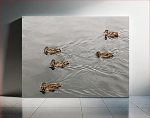 Πίνακας, Ducks on a Calm Pond Πάπιες σε μια ήρεμη λίμνη