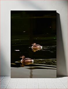 Πίνακας, Ducks on a Still Water Πάπιες σε ακίνητο νερό