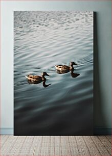 Πίνακας, Ducks on the Water Πάπιες στο νερό