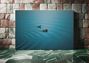 Πίνακας, Ducks Swimming in Tranquil Waters Πάπιες που κολυμπούν σε ήρεμα νερά