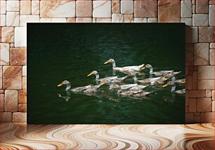 Πίνακας, Ducks Swimming Πάπιες που κολυμπούν