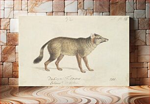 Πίνακας, Dun-Footed Aguara-Dog by Charles Hamilton Smith