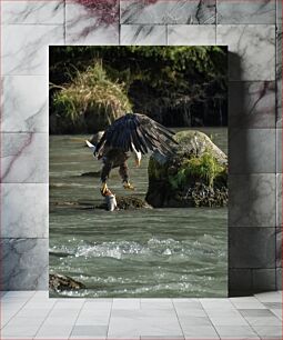 Πίνακας, Eagle Catching Fish Αετός που πιάνει ψάρια