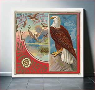 Πίνακας, Eagle, from the Birds of America series (N37) for Allen & Ginter Cigarettes
