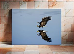 Πίνακας, Eagle Gliding Over Water Αετός που γλιστρά πάνω από το νερό