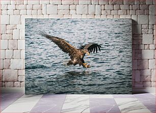 Πίνακας, Eagle Hunting Over Water Κυνήγι αετού πάνω από το νερό