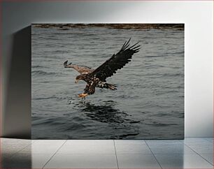 Πίνακας, Eagle Hunting Over Water Κυνήγι αετού πάνω από το νερό