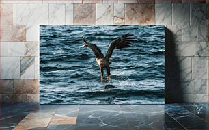 Πίνακας, Eagle in Flight Over the Sea Αετός σε πτήση πάνω από τη θάλασσα