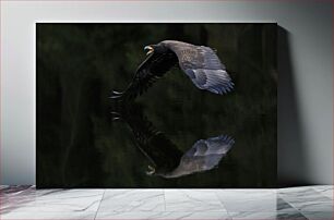 Πίνακας, Eagle in Flight Over Water Αετός σε πτήση πάνω από το νερό