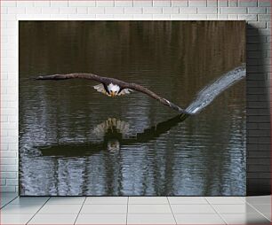 Πίνακας, Eagle in Flight Over Water Αετός σε πτήση πάνω από το νερό