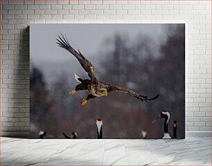 Πίνακας, Eagle in Flight with Cranes Αετός σε πτήση με γερανούς