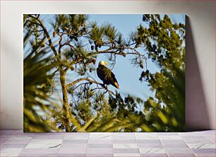 Πίνακας, Eagle in Pine Tree Αετός στο πεύκο