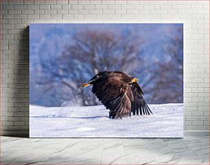 Πίνακας, Eagle in Snowy Landscape Αετός στο χιονισμένο τοπίο