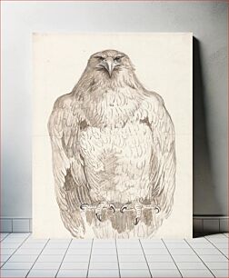 Πίνακας, Eagle on a Perch