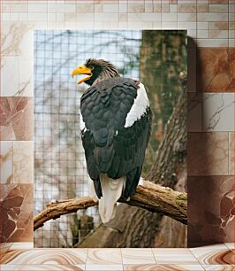 Πίνακας, Eagle Perched on a Branch Αετός σκαρφαλωμένος σε ένα κλαδί