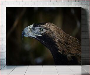 Πίνακας, Eagle Profile Προφίλ Eagle