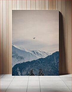 Πίνακας, Eagle Soaring Over Snow-Capped Mountains Αετός που πετάει πάνω από τα χιονισμένα βουνά