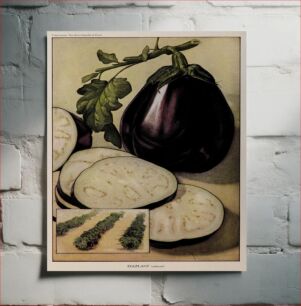 Πίνακας, Eggplant, illustration from The Encyclopedia of Food by Artemas Ward (reduced)