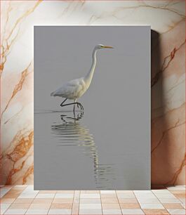 Πίνακας, Egret in the Water Τσικνιάς στο νερό