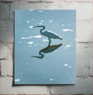 Πίνακας, Egret in Water with Reflection τσικνιάς στο νερό με αντανάκλαση