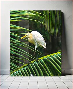 Πίνακας, Egret on Palm Leaf Τσικνιά στο φύλλο φοίνικα